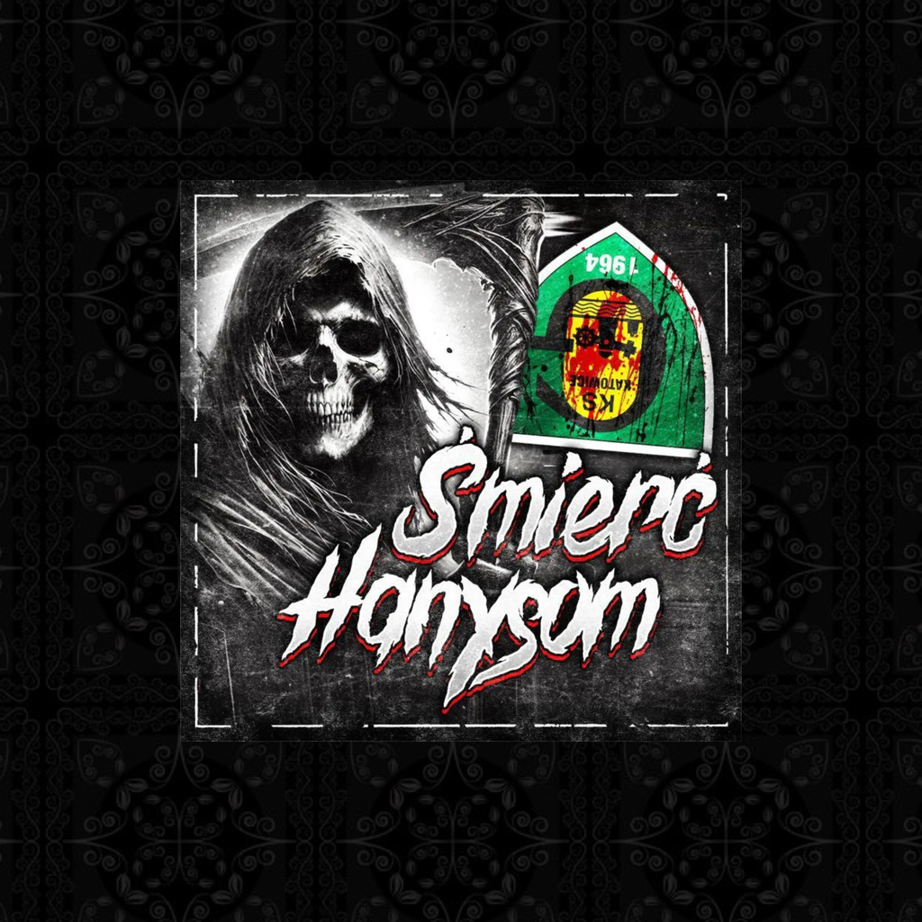 ANTY GKS KATOWICE i GÓRNIK ZABRZE